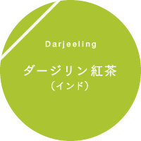 Darjeeling �_�[�W�����g���i�C���h�j