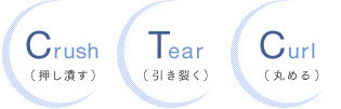 Crush�i�����ׂ��jTear�i�����􂭁jCurl�i�ۂ߂�j