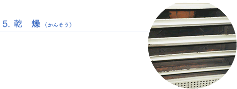 5.�@���@���i���񂻂��j